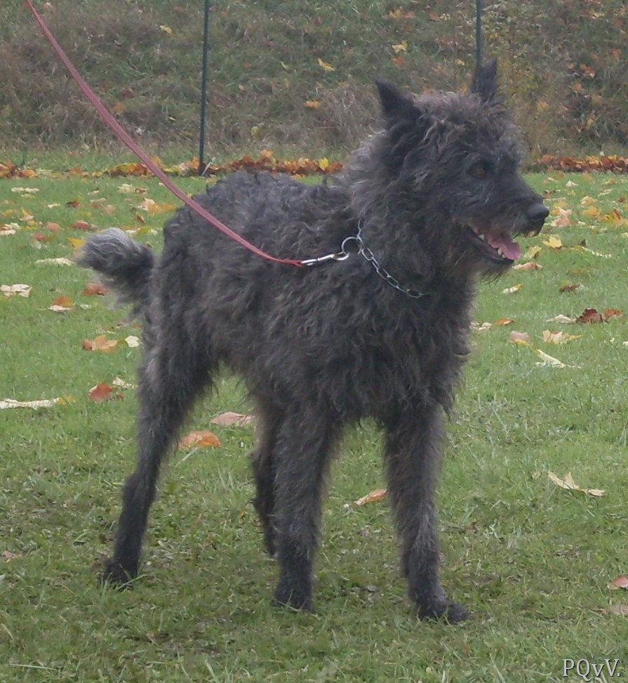  Email du Pré aux Vanneaux